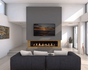 Regency City Series New York View 72" Gas Fireplace